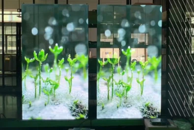 P2.6 Transparent Poster Display Screen To UK