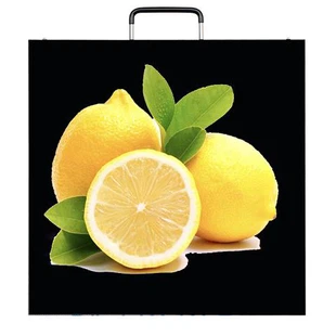 P3.9 Indoor Rental LED Displays