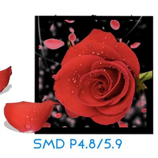 P4.8 LED Displays