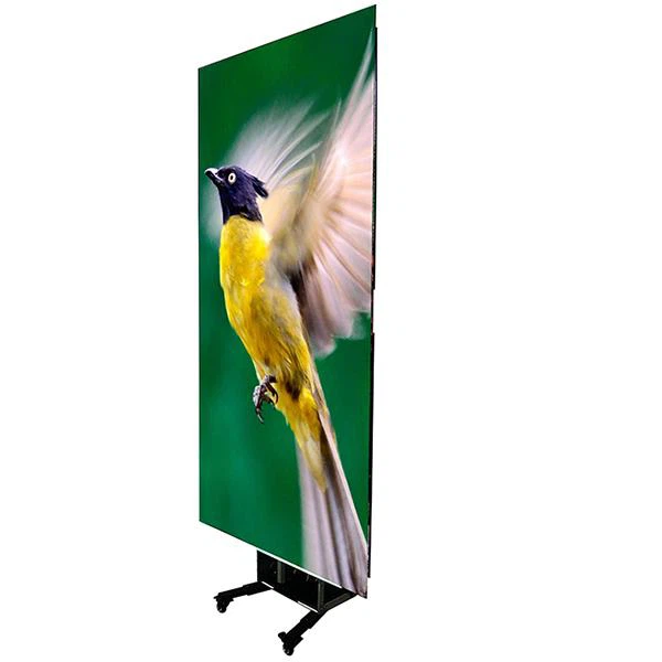 P3.9 LED Poster Displays