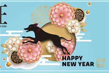 2018 Spring Festival Holiday Notice